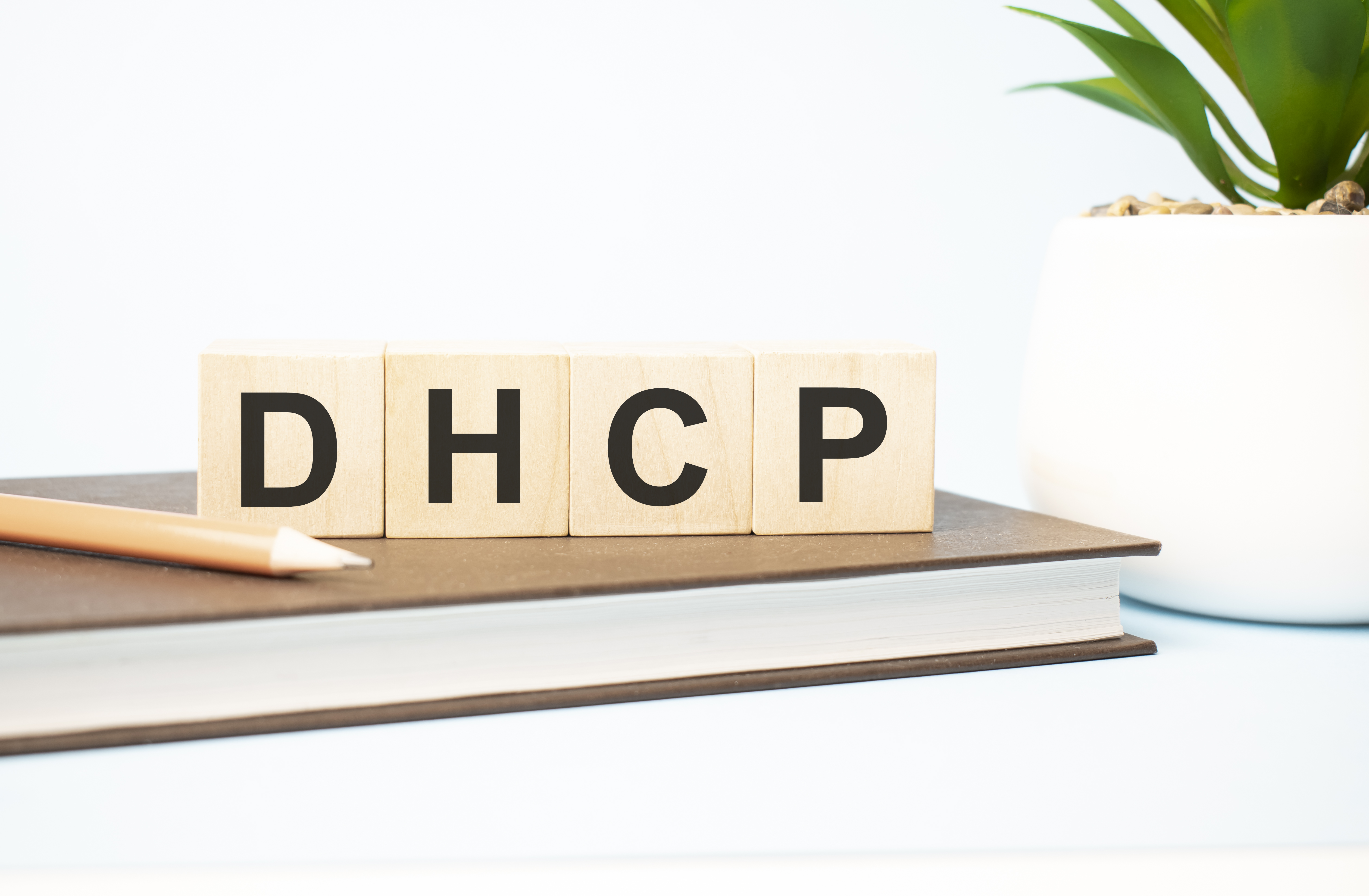 DHCP – Nutzen, Vorteile und Risiken